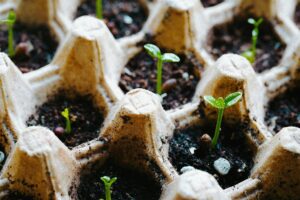 Brown County Seed Library